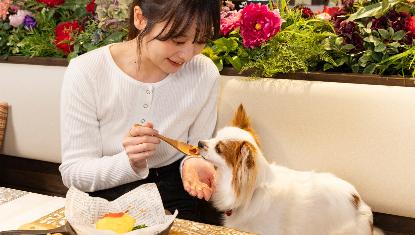 飼い主さまにも、優雅なひとときを